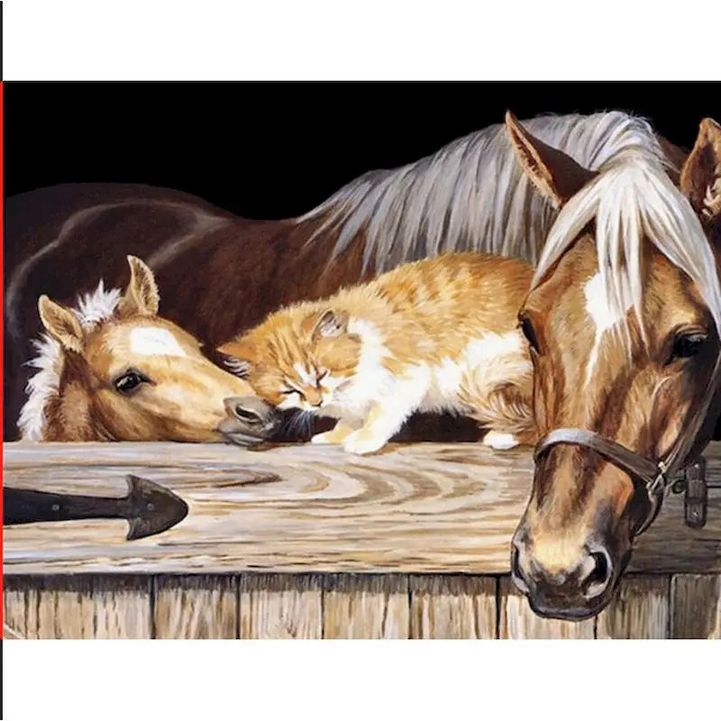 GATYZTORY Oil Painting By Numbers | Horse Cat Animal Modern Home Decoration