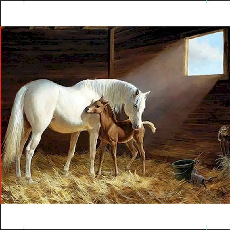 GATYZTORY Oil Painting By Numbers | Horse Cat Animal Modern Home Decoration