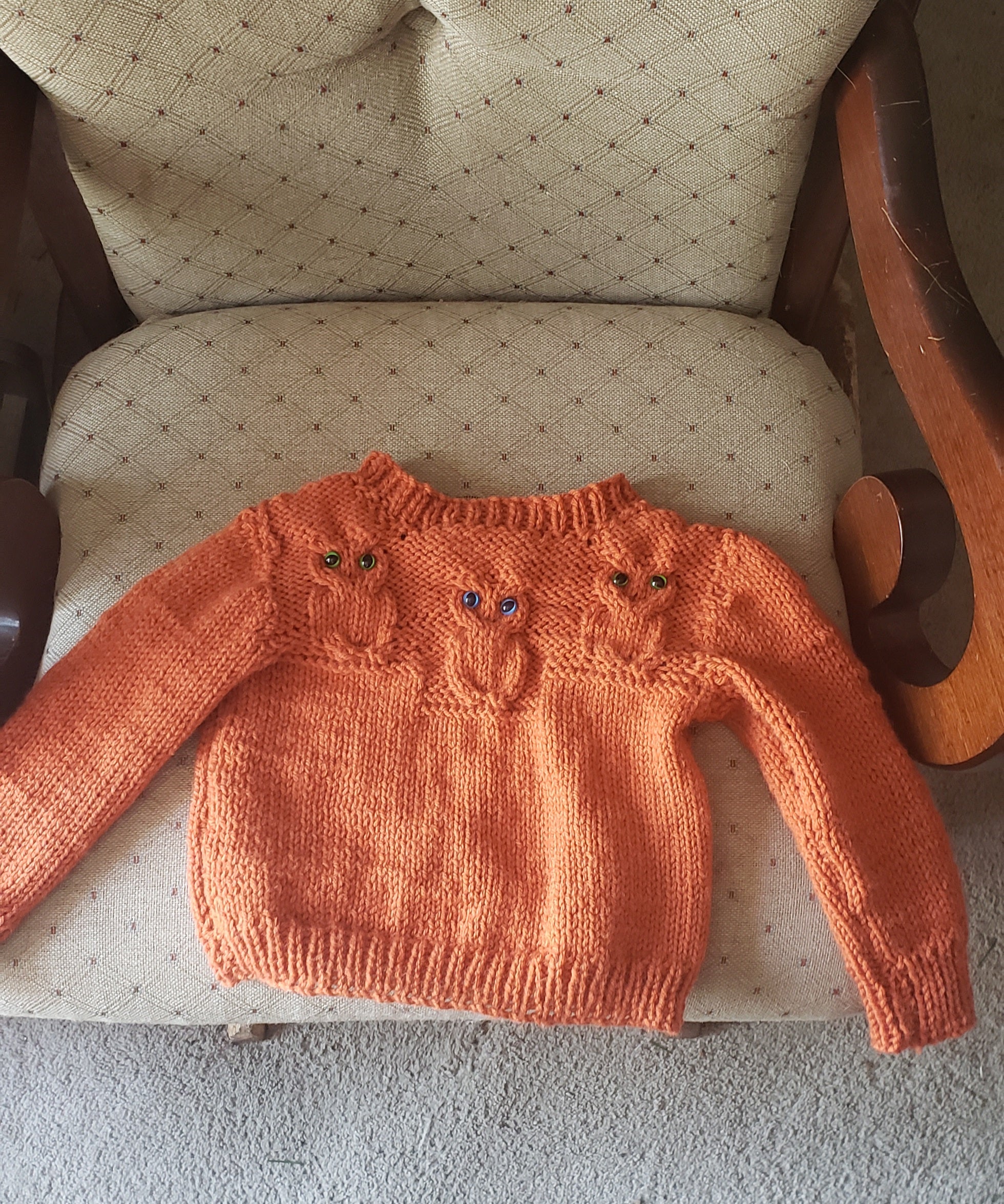 Child's Owl Sweater